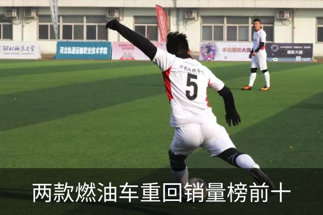 两款燃油车重回销量榜前十