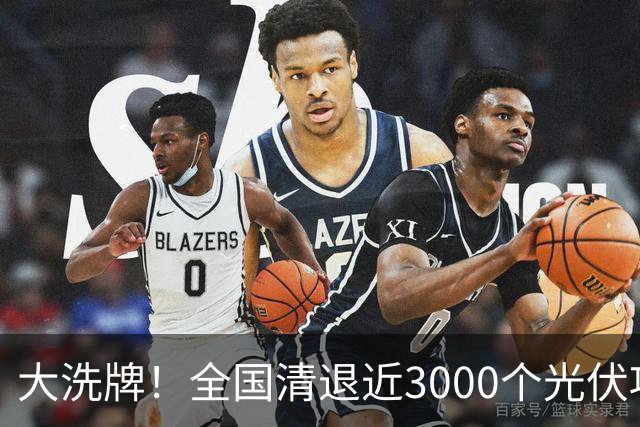 大洗牌！全国清退近3000个光伏项目，广东广西最多
